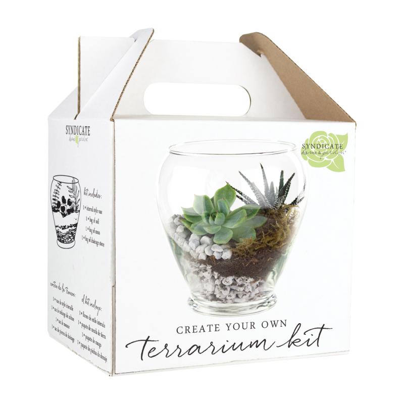 Capsule Terrarium Kit