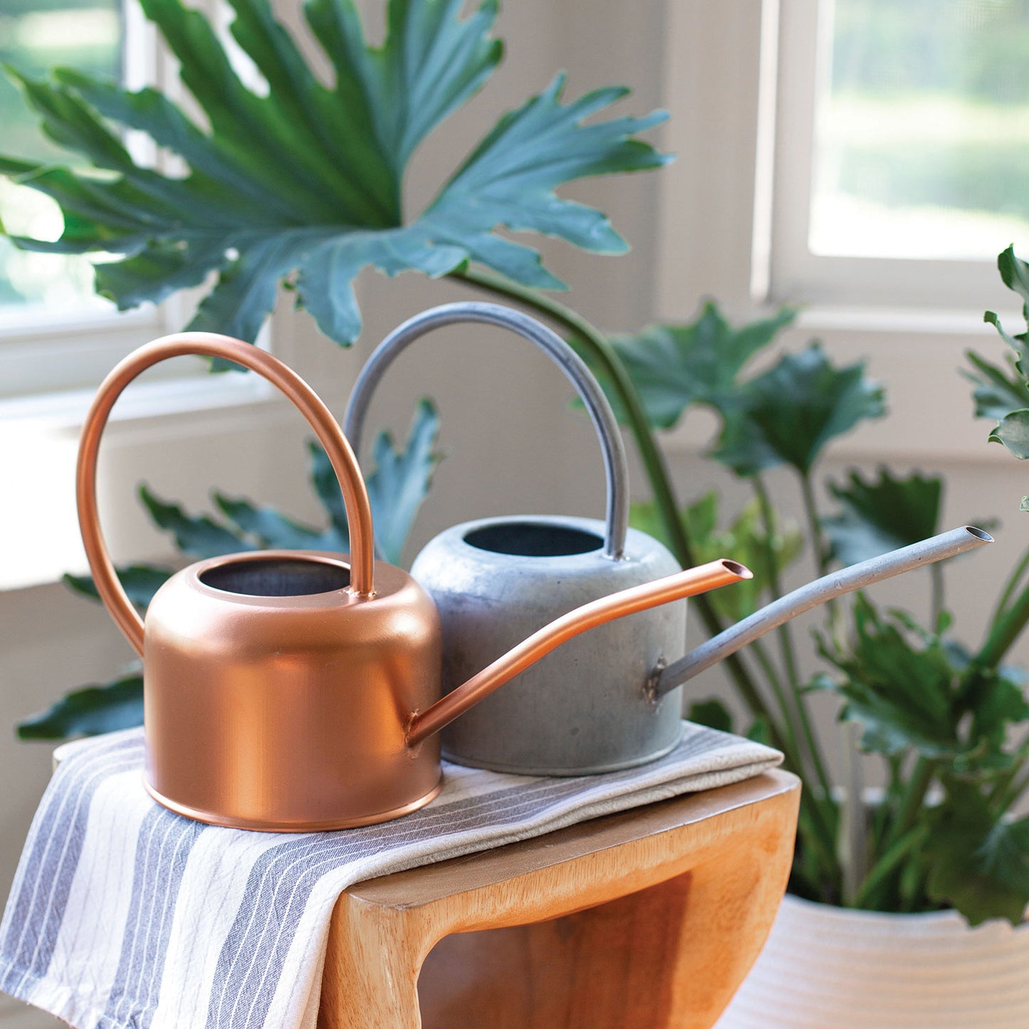 Loop Watering Can