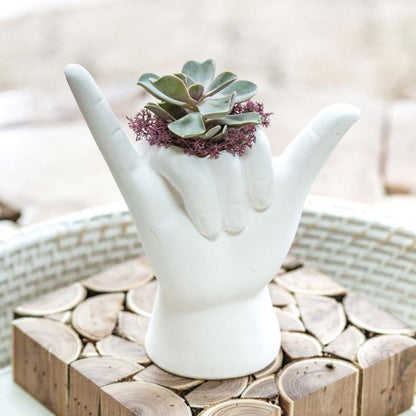 HANG LOOSE PLANTER