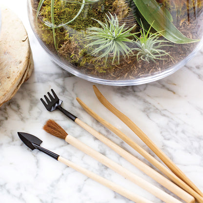 TERRARIUM TOOL KIT