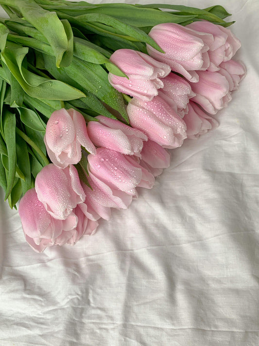 PINK TULIPS